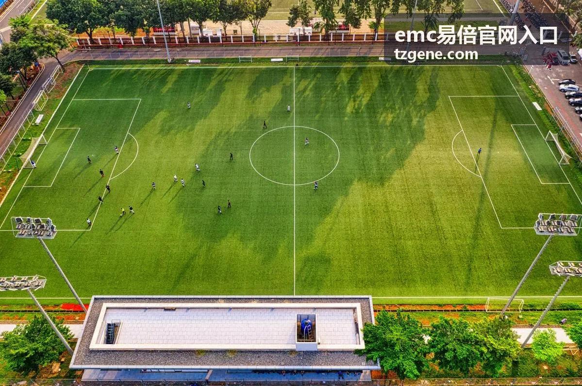 emc易倍官网入口新用户快速上手场景示意