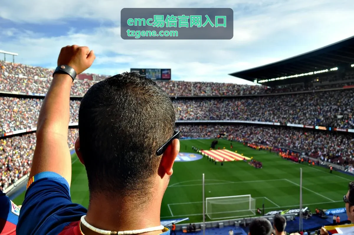 emc易倍官网入口个人用户使用情况卡片配图
