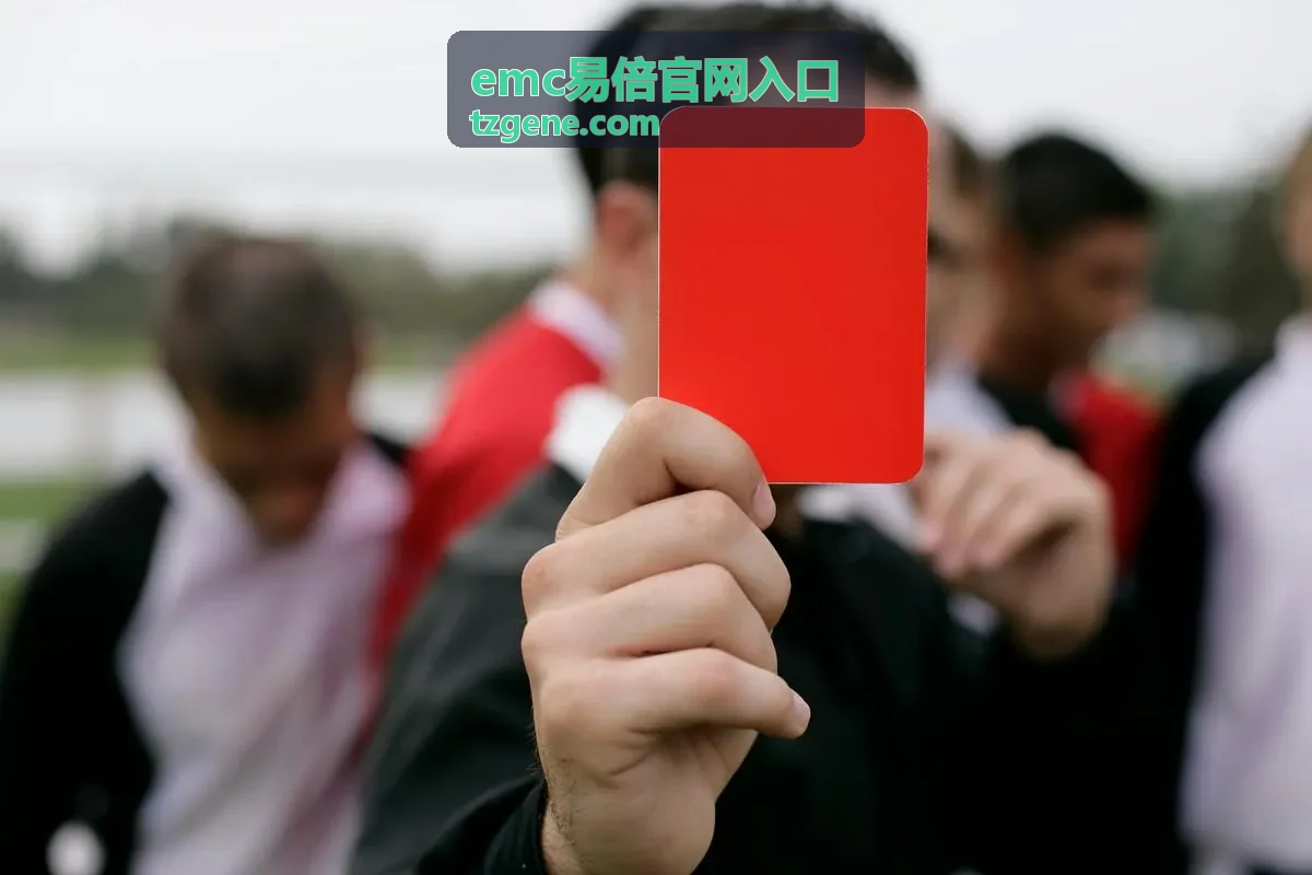 emc易倍官网入口团队用户使用情况卡片配图